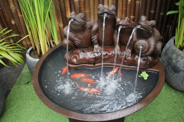 Frog in a Pond Fountain