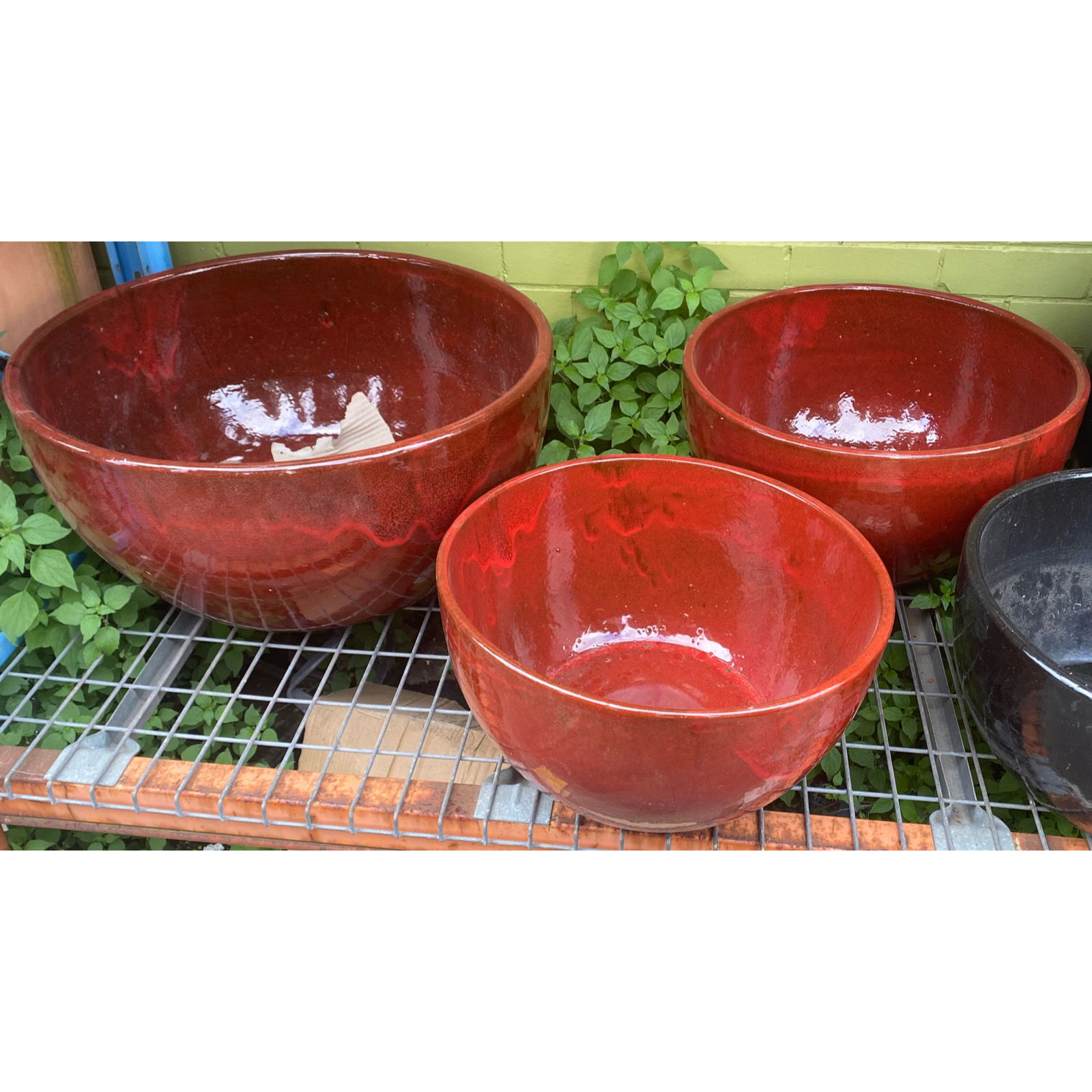 glazed bowl planter