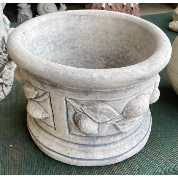 Lemon Pot Concrete Pot Garden Planter