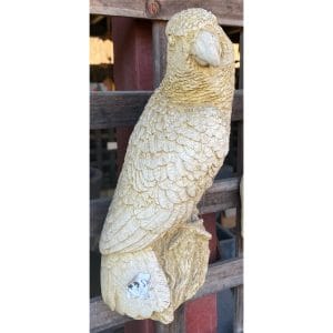 Parrot Concrete Wall Plaque