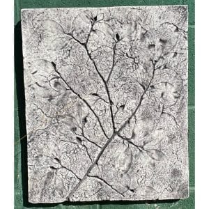 Fossil Camelia Concrete Wall Plaque 0563