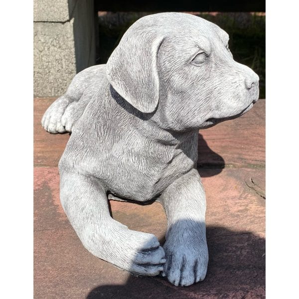 Rotty Pup Concrete Dog Statue (Rottweiler) 0190 - Image 2