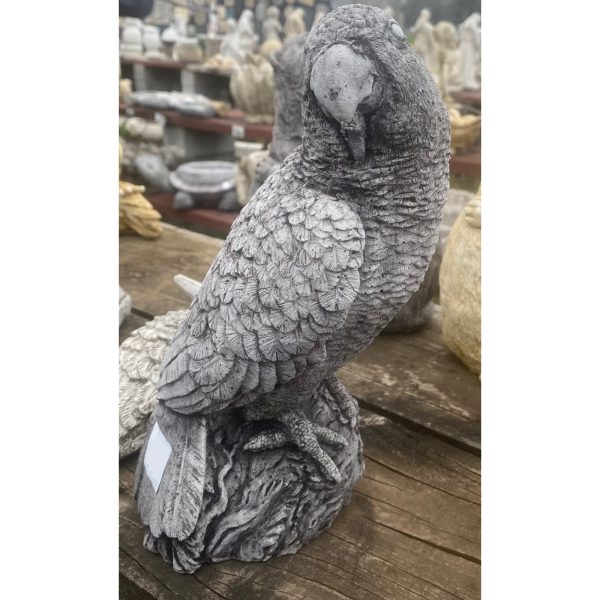 Parrot Concrete Bird Statue 0070 - Image 2