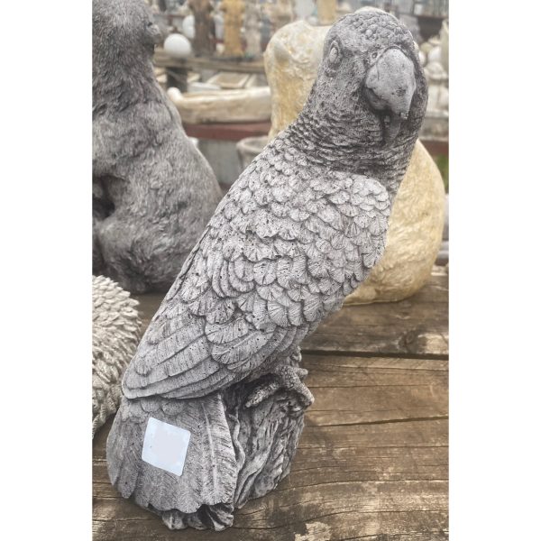 Parrot Concrete Bird Statue 0070