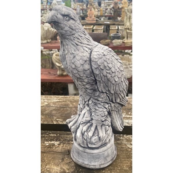 Hawk Concrete Bird Statue 0080