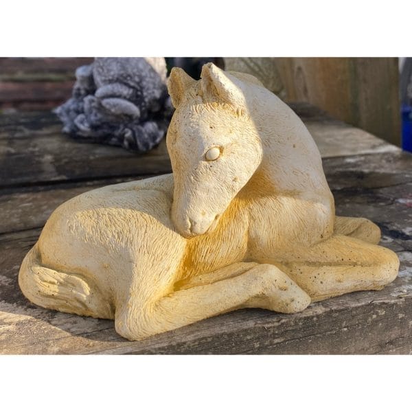 Foal Concrete Horse Statue 0129