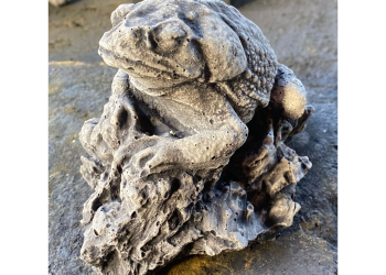 Frog on Rock Concrete Statue 0969