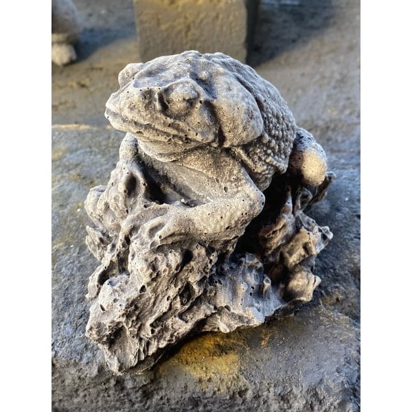 Frog on Rock Concrete Statue 0969